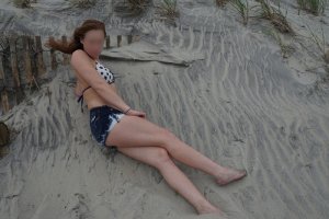 Sarah-anne outcall escort in Northbrook Illinois & casual sex